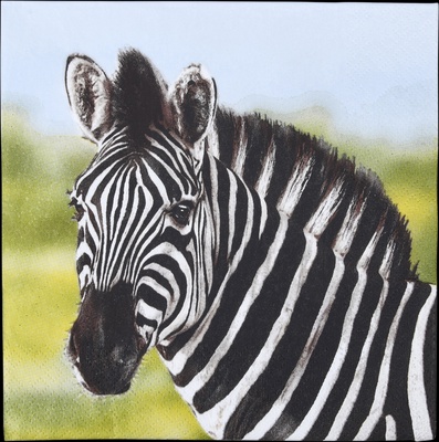 Servilletas de Papel Cebra 33x33cm